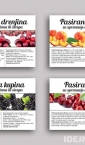 Samolepljive etikete, nalepnice za pasirano voće / Vilapromet