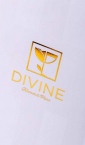 Kesa za piće, model SL / Divine (Švajcarska, detalj zlatotisak)