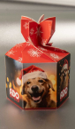 Šestougaona kutija / Fido pet shop