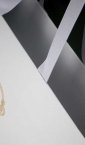 Specijalna luksuzna kesa, model XB; ručke od belog ripsa iz poruba / Baragoni (detalj)