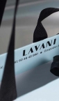 specijalne luksuzne "Lavani" (detalj)