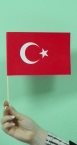 zastavice od papira - Turska