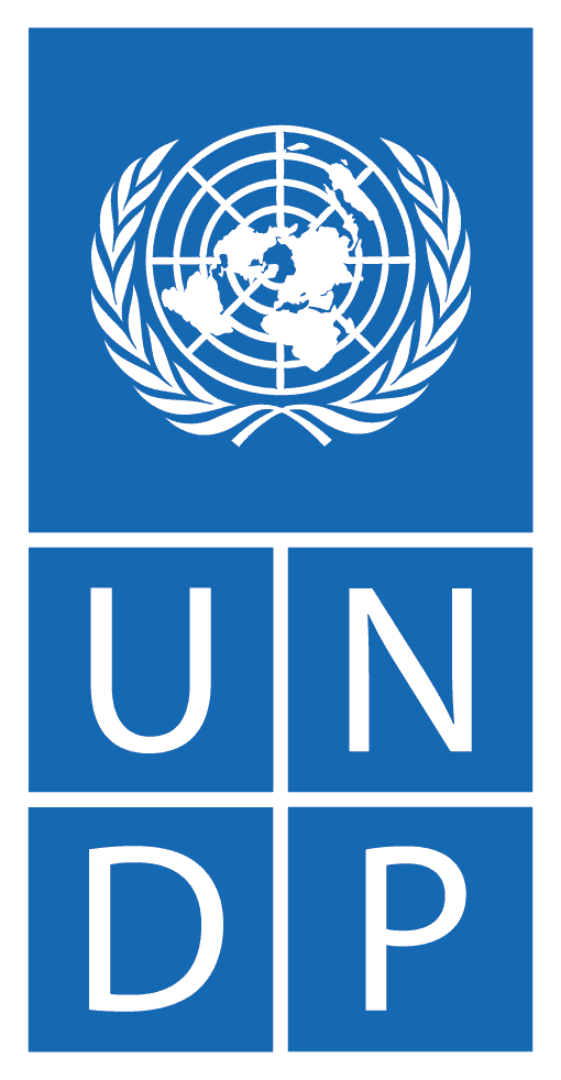 Program Ujedinjenih nacija za razvoj (UNDP)
