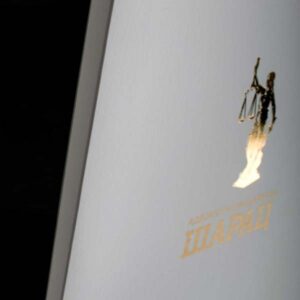 poslovni kartonski folderi sa dve klapne, mat plastifikacija, zlatotisak