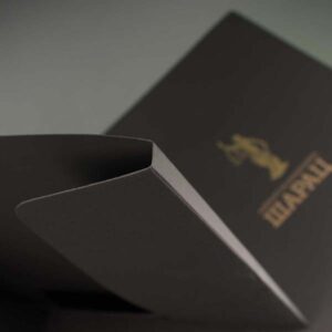 poslovni kartonski folderi sa dve klapne,