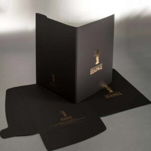 poslovni kartonski folderi sa dve klapne na specijalnom papiru, zlatotisak