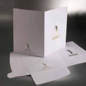 poslovni kartonski folderi sa dve klapne, mat plastifikacija, zlatotisak