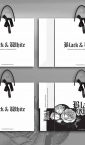 Dizajn - Luksuzna kesa sa dekorativnom mašnom (2D) / Black & White