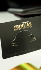 zlatotisak + uv + ofset - vizitkarte - Trinitas (Beč, Wiena)